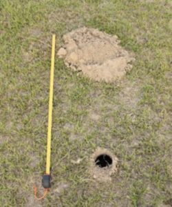 Imagem da toca de um tatu. Especificamente a toca de tatu-do-rabo-mole ( Cabassous unicinctus). A toca está na supperfície de um solo gramado muito semelhante ao buraco de uma bola de golfe. 