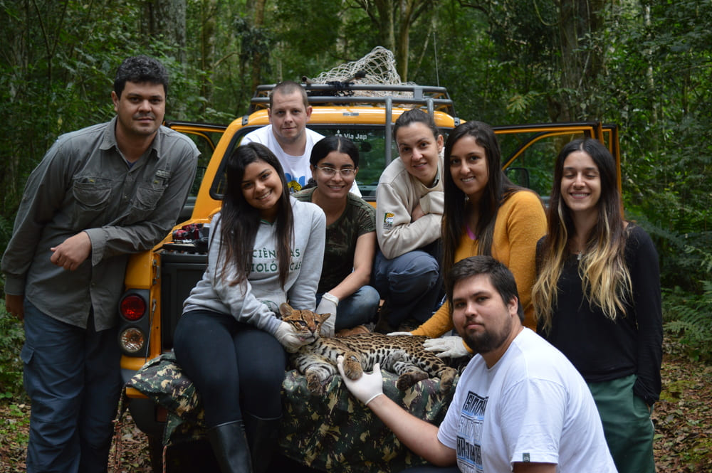 jaguatirica - equipe jaguatirica ao final dos procedimentos avaliativos ecom equipe de profissionais e estudantes pousados para uma foto