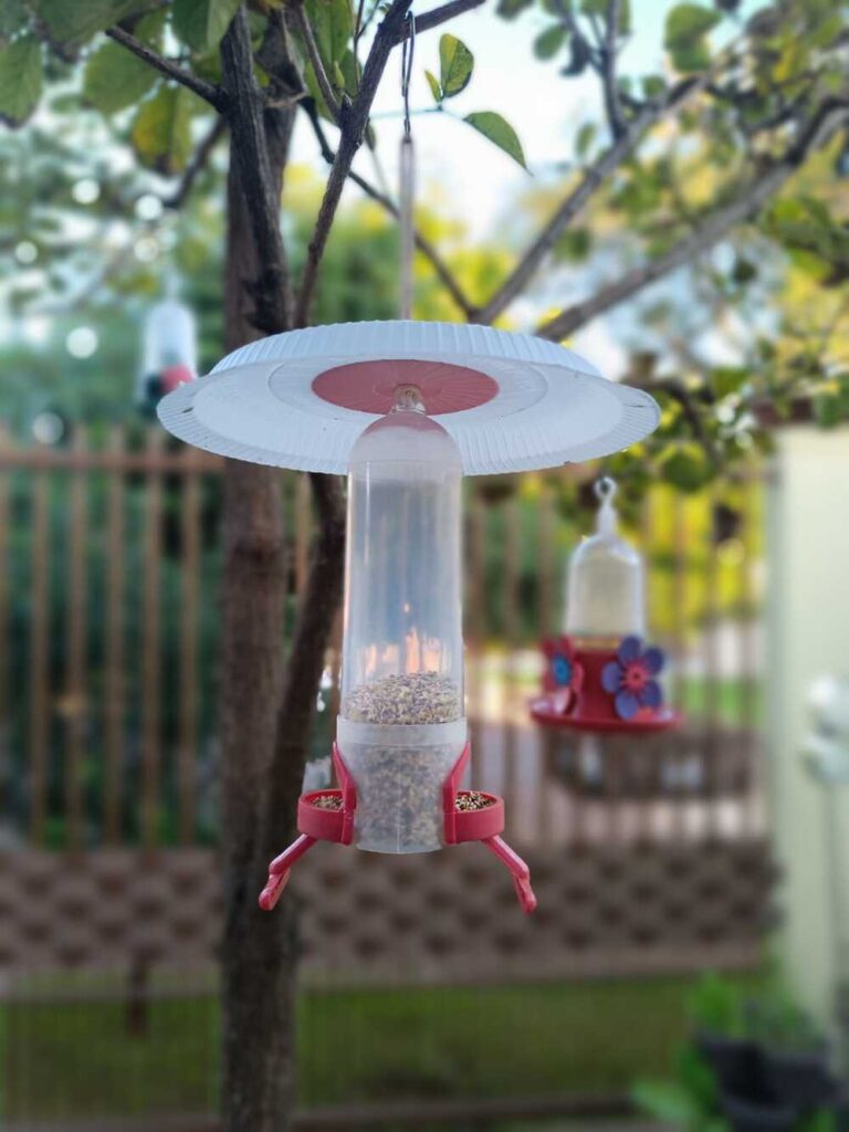 Comedouro para aves granivoras. Proteção para chuva, neste caso, é relevante. Repare que os grãos ficam expostos